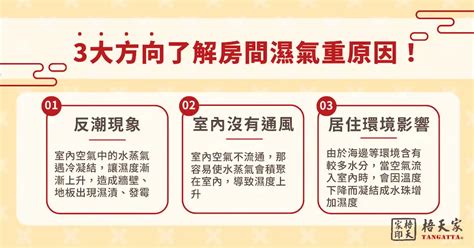 房間濕氣重風水|台灣原來這麼濕！6關鍵讓家裡乾爽健康